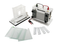 FSF-SCZ9 Vertical Electrophoresis gel tank