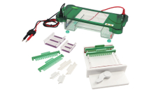 FSF-SPFT Horizontal Electrophoresis Cell
