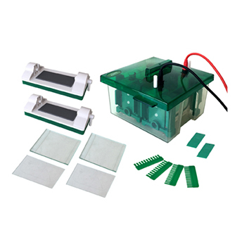 Vertical Mini Protean Electrophoresis Cell FSF-Mini-P4 