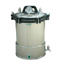 Portable Pressure Steam Sterilizer FSF-LD