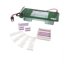 FSF-SPCT Horizontal Electrophoresis Cell