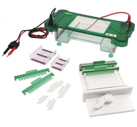 FSF-SPHT Horizontal Electrophoresis