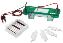 FSF-SPBT Horizontal Electrophoresis