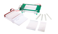 FSF-SPGT Horizontal Electrophoresis Cell