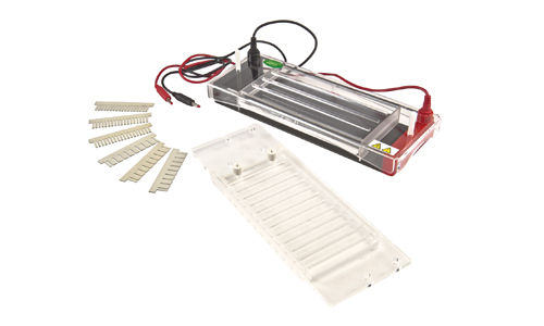 FSF-SP3 Horizontal Electrophoresis Cell