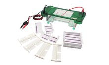 FSF-SPDT Horizontal Electrophoresis