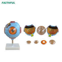 XC-316 Series Eye Model