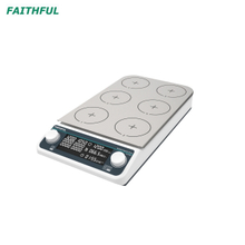 Multiple Mgnetic Stirrer with Heating