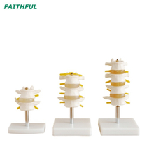 Lumbar Set