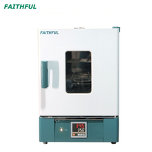 Constant-temperature Drying Oven