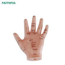 XC-500Series Hand Model