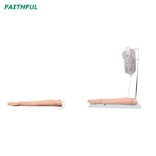 XC-434 Series Injectable Training Arm Model 