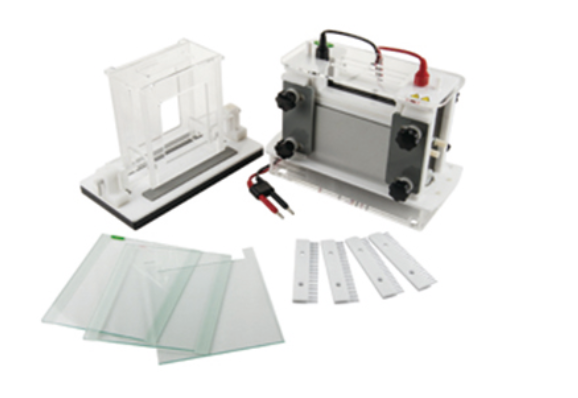 FSF-SCZ9 Vertical Electrophoresis gel tank