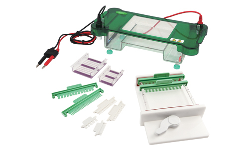 FSF-SPFT Horizontal Electrophoresis Cell