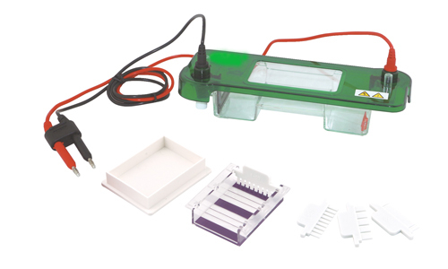 FSF-SPAT Horizontal Electrophoresis Cell