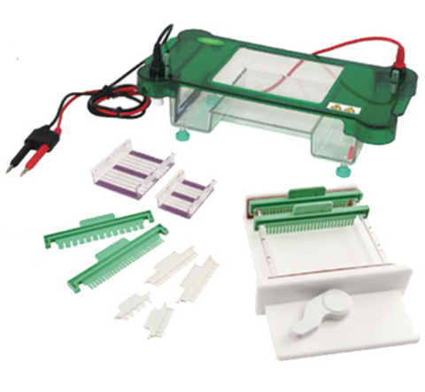 FSF-SPHT Horizontal Electrophoresis