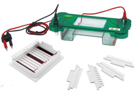 FSF-SPBT Horizontal Electrophoresis