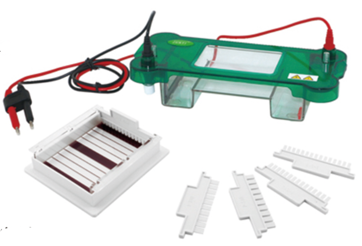 FSF-SPBT Horizontal Electrophoresis