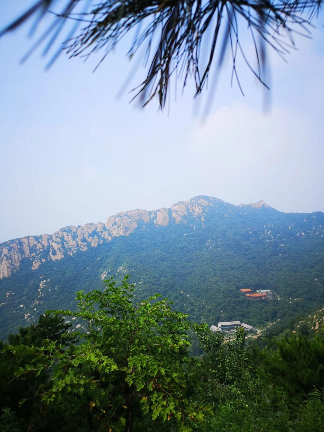 微信图片_20180806133726