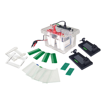 Mini-Protean Electrophoresis Cell FSF-SCZ4+