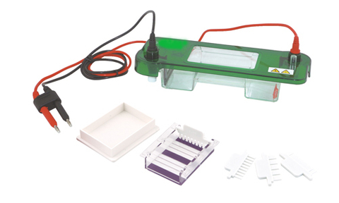 FSF-SCZ2+Mini-Protean Vertical Electrophoresis Cell 
