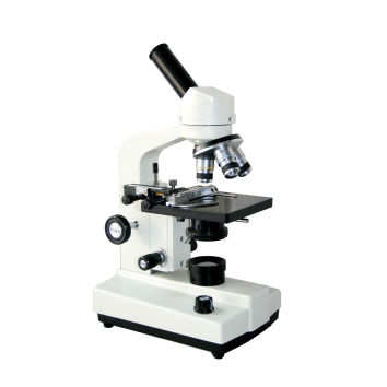Microscope-FSF-34-1250X