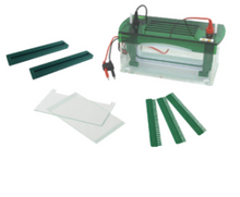 FSF-CZ-B Rapid SSR Vertical Electrophoresis