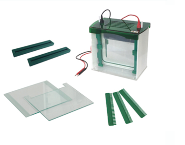 FSF-JX5l Vertical gel Electrophresis cell 
