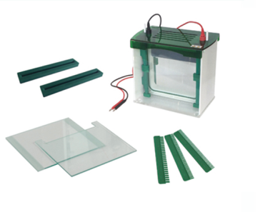 FSF-JX5l Vertical gel Electrophresis cell 