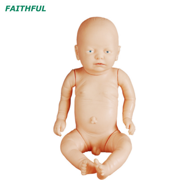 XC-409 Series Newborn Model