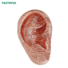 XC-514Series Massage Ear Model 17CM/12CM