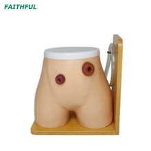 XC-456 Ostomy Nursing Model