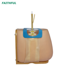 XC-463 Lumbar Puncture Model
