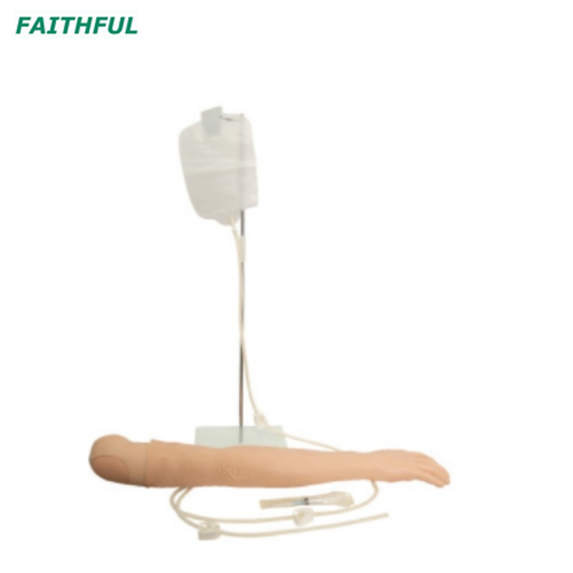 XC-446 Series Training Arm