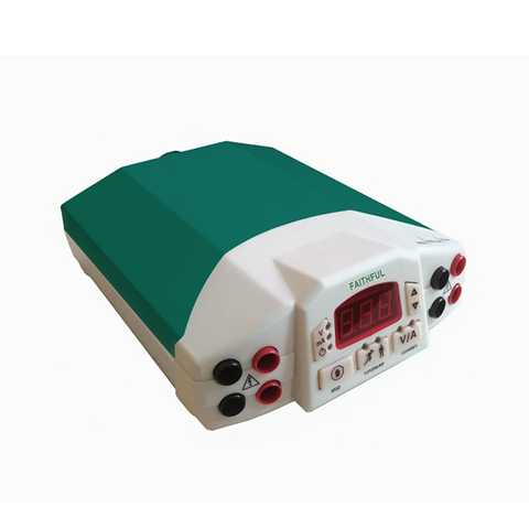 Electrophoresis Power Supply FL-300