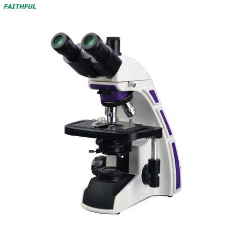 FSF-2016T Biological Microscope