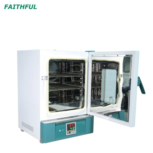Constant-temperature Drying Oven