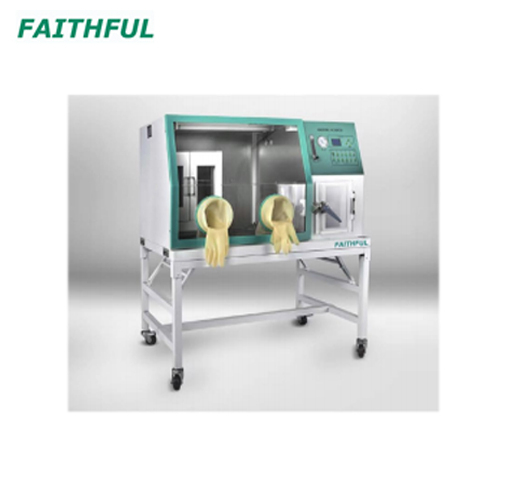 Anaerobic Incubator FAI-3