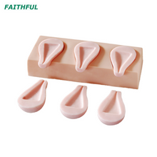 XC-448 Advanced Artificial Abortion Simulated Uterus