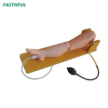 XC-481 Child Bone Marrow Puncture and Femoral Venous Puncture Model