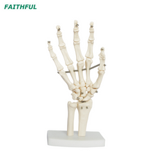Hand Joint XC-114 Series