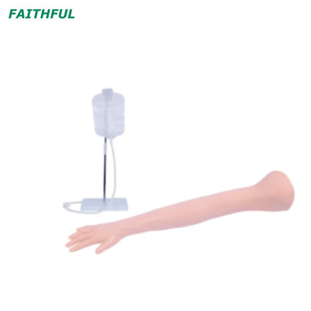 XC-446 Series Training Arm
