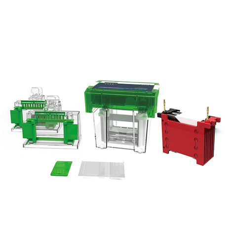 Protein & Transfer Electrophoresis System