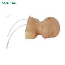 XC-409E Neonate Scalp Venipuncture Model