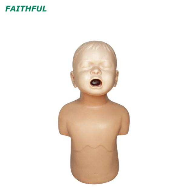XC-422Series Infant Obstruction Model and Child Choke Model
