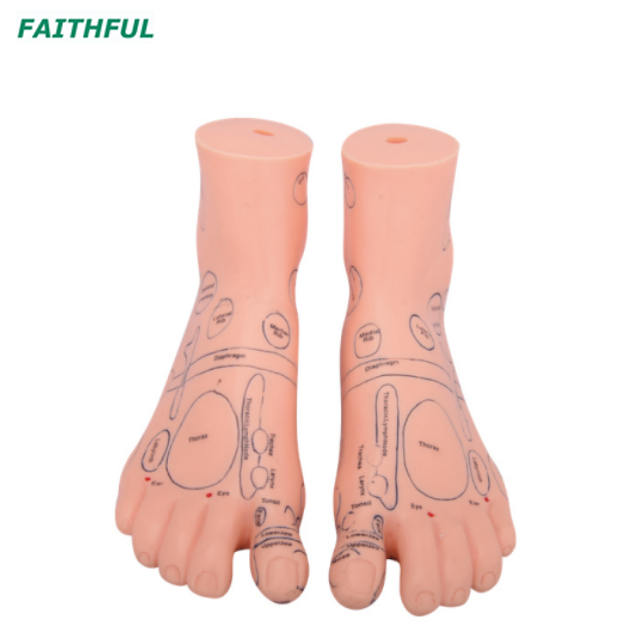 XC-515Series Massage Foot Model 17CM/12CM
