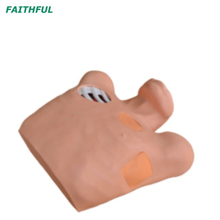 XC-465 Pneumothorax/Pleural Drainage (ArtificiaHydrothorax) Simulator