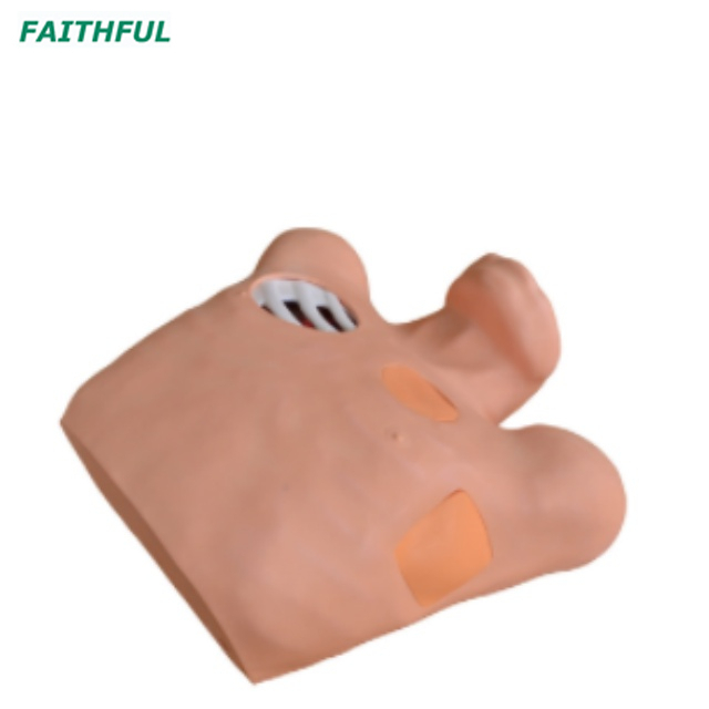 XC-465 Pneumothorax/Pleural Drainage (ArtificiaHydrothorax) Simulator