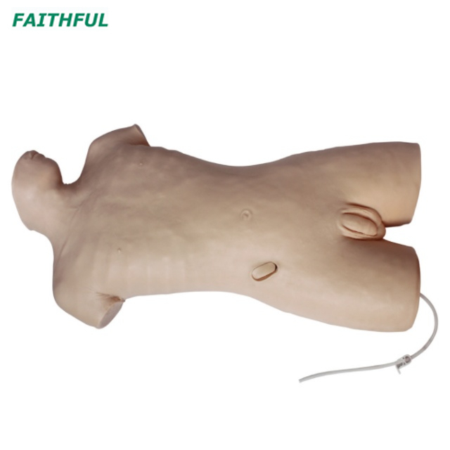 XC-461 Central Venous Puncture Model