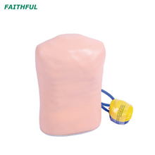 XC-465A Lumbar Puncture Model